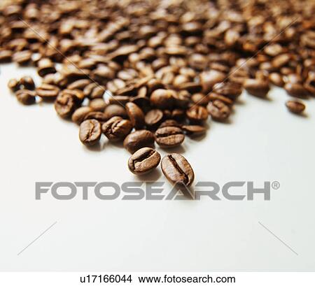Close up of coffee beans View Large Photo Image Picture - Close up of coffee beans. Fotosearch
