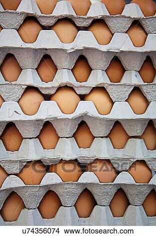 Picture - Close up of eggs in cartons. Fotosearch