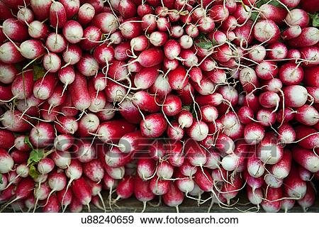Stock Photo - Close up of radishes. Fotosearch