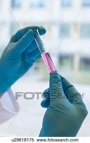 Close up of scientist holding test tube View Large Photo Image Stock Photography - Close up of scientist holding test tube. Fotosearch