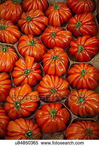 Stock Photography - Close up of tomatoes. Fotosearch