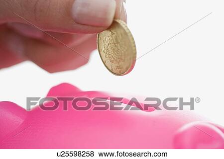 Close up of woman feeding piggy bank View Large Photo Image Stock Photo - Close up of woman feeding piggy bank. Fotosearch