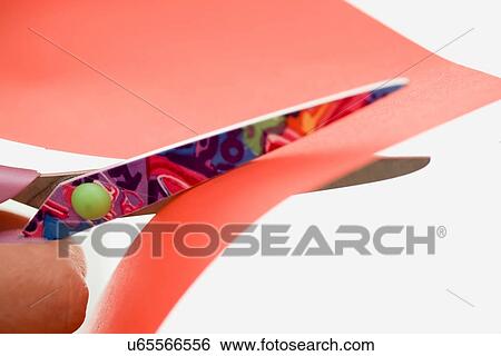 Close up of woman using scissors View Large Photo Image Stock Photograph - Close up of woman using scissors. Fotosearch