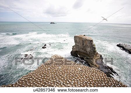 Stock Photograph - Craggy rock jutting into ocean. Fotosearch