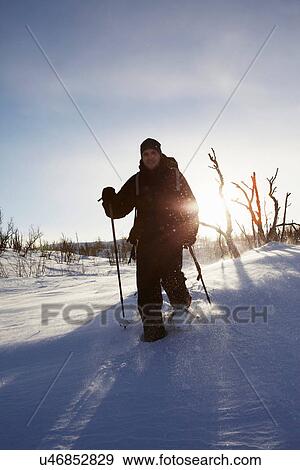 Cross-country skier walking in snow View Large Photo Image Stock Photo - Cross-country skier walking in snow. Fotosearch