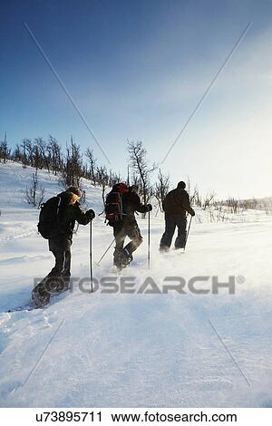 Stock Image - Cross-country skiers walking in snow. Fotosearch