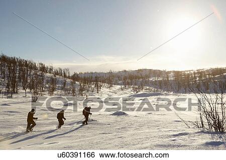 Cross-country skiers walking in snow View Large Photo Image Stock Photograph - Cross-country skiers walking in snow. Fotosearch