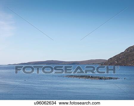 Elevated view of Scottish salmon farm in sea loch View Large Photo Image Picture - Elevated view of Scottish salmon farm in sea loch. Fotosearch
