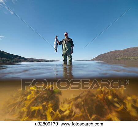 Fisherman wading in loch with freshly caught salmon View Large Photo Image Stock Photo - Fisherman wading in loch with freshly caught salmon. Fotosearch