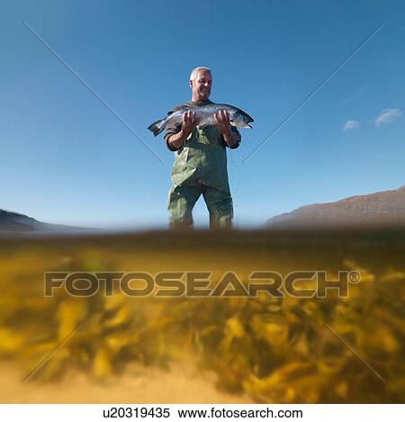 Stock Photography - Fisherman wading in loch with freshly caught salmon. Fotosearch