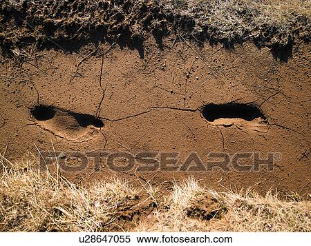 Stock Photography - Footprints in cracked soil. Fotosearch