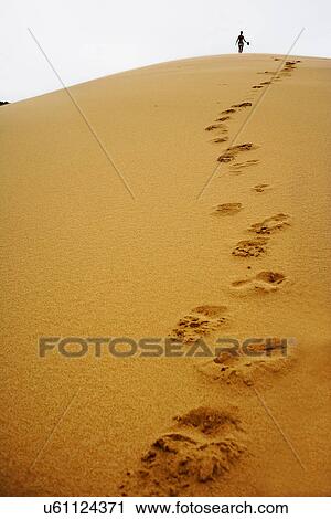 Footsteps in sand dune View Large Photo Image Stock Image - Footsteps in sand dune. Fotosearch