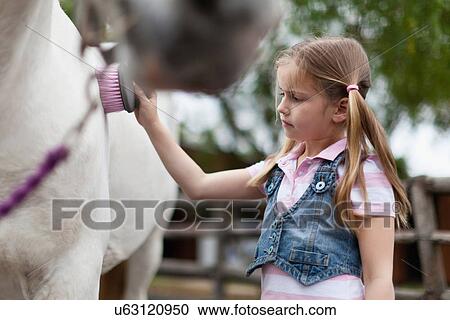 Girl brushing horse's coat View Large Photo Image Stock Image - Girl brushing horse's coat. Fotosearch