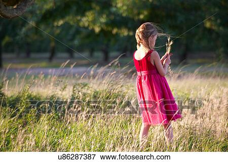 Girl collecting wheat stalks in field View Large Photo Image Stock Photo - Girl collecting wheat stalks in field. Fotosearch