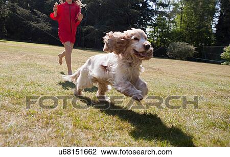 Stock Image - Girl playing with dog in backyard. Fotosearch