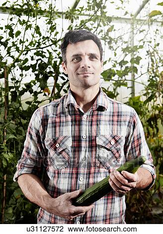 Man holding cucumber in hot house View Large Photo Image Stock Image - Man holding cucumber in hot house. Fotosearch