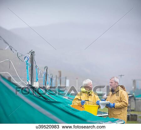 Men feeding fish and stock checking on Scottish salmon hatchery View Large Photo Image Stock Image - Men feeding fish and stock checking on Scottish salmon hatchery. Fotosearch