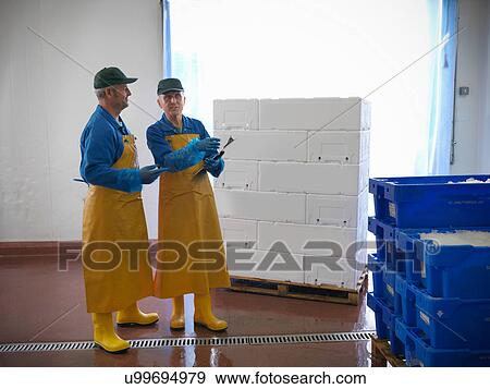 Stock Photo - Men inspecting crates of freshly packed fish from hand-reared Scottish salmon farm. Fotosearch