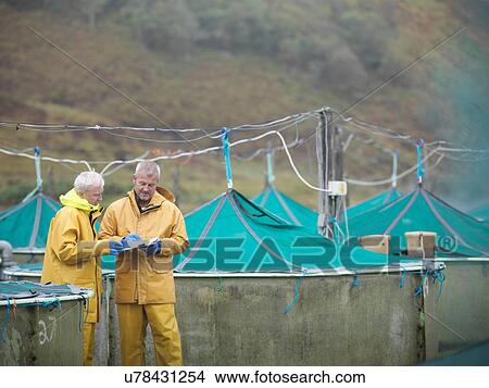 Men taking stock on Scottish salmon hatchery View Large Photo Image Picture - Men taking stock on Scottish salmon hatchery. Fotosearch