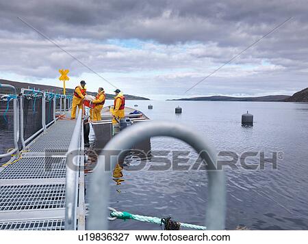 Stock Photo - Men unloading fishing boat on Scottish salmon farm on loch. Fotosearch