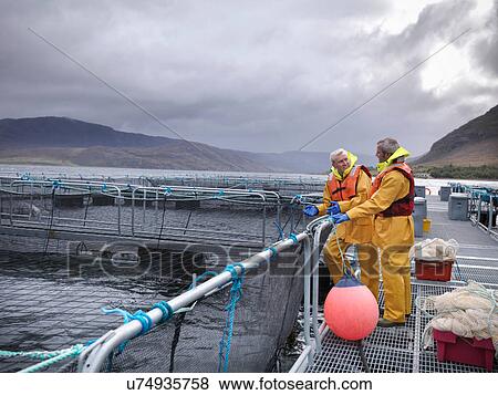 Men working at hand reared Scottish salmon farm on sea loch View Large Photo Image Stock Photo - Men working at hand reared Scottish salmon farm on sea loch. Fotosearch