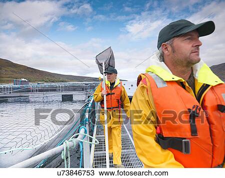 Men working in Scottish salmon farm on loch View Large Photo Image Stock Image - Men working in Scottish salmon farm on loch. Fotosearch