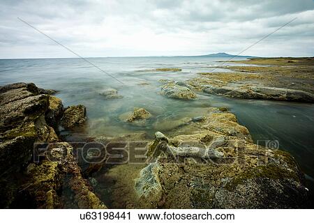 Moss-covered rocks on coastline View Large Photo Image Stock Image - Moss-covered rocks on coastline. Fotosearch