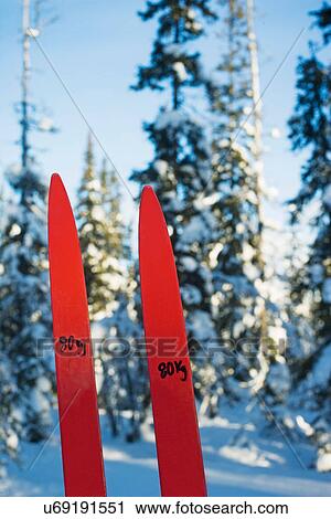 Numbered posts in snowy field View Large Photo Image Stock Image - Numbered posts in snowy field. Fotosearch