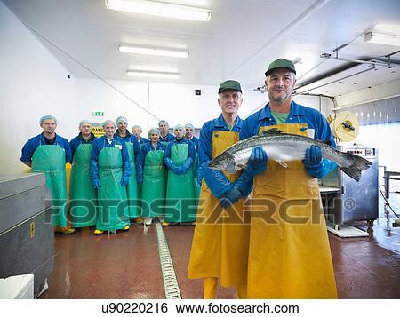 Portrait of factory workforce at hand-reared Scottish salmon farm View Large Photo Image Stock Photograph - Portrait of factory workforce at hand-reared Scottish salmon farm. Fotosearch