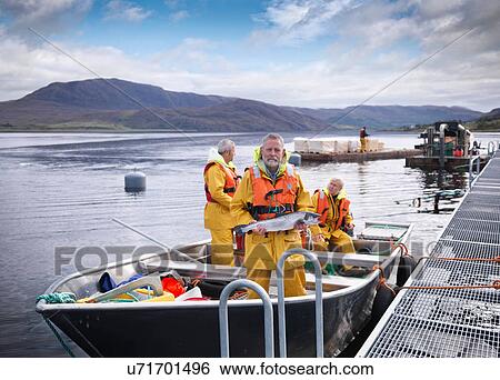 Portrait of salmon farmer holding fish in boat on Scottish salmon farm View Large Photo Image Stock Photograph - Portrait of salmon farmer holding fish in boat on Scottish salmon farm. Fotosearch