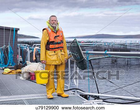 Portrait of salmon farmer standing on pier of Scottish salmon farm View Large Photo Image Stock Image - Portrait of salmon farmer standing on pier of Scottish salmon farm. Fotosearch