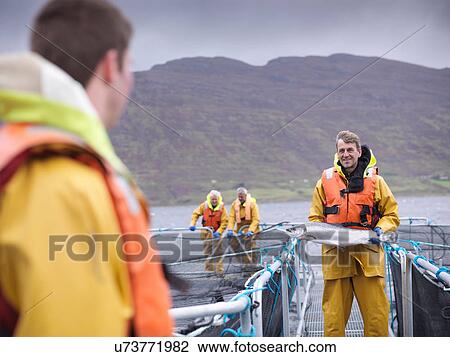 Stock Image - Salmon farmer holding hand reared Scottish salmon on farm pontoon on sea loch. Fotosearch