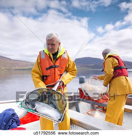 Salmon farmer holding net with caught fish on loch of Scottish salmon farm View Large Photo Image Stock Photograph - Salmon farmer holding net with caught fish on loch of Scottish salmon farm. Fotosearch