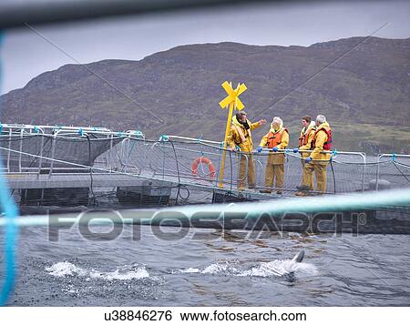 Stock Photograph - Salmon farmers in discussion on pontoon of Scottish salmon farm over sea loch. Fotosearch
