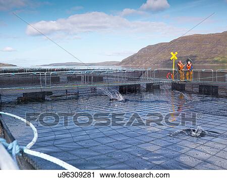 Stock Image - Salmon farmers standing by pen of Scottish salmon farm. Fotosearch