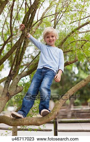Smiling boy climbing tree View Large Photo Image Stock Image - Smiling boy climbing tree. Fotosearch