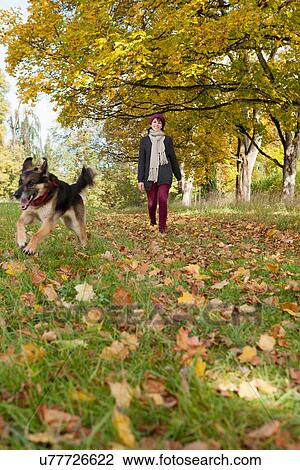 Smiling woman walking dog in park View Large Photo Image Stock Image - Smiling woman walking dog in park. Fotosearch