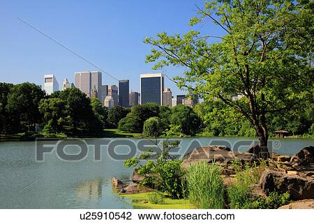 Still lake in Central Park View Large Photo Image Stock Image - Still lake in Central Park. Fotosearch