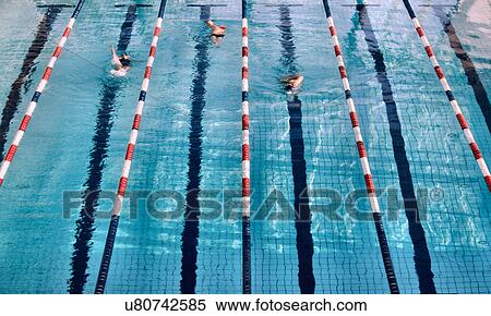 Swimmers in lanes of swimming pool View Large Photo Image Stock Photography - Swimmers in lanes of swimming pool. Fotosearch