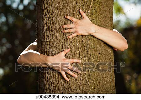 Teenage boy hugging tree in park View Large Photo Image Picture - Teenage boy hugging tree in park. Fotosearch