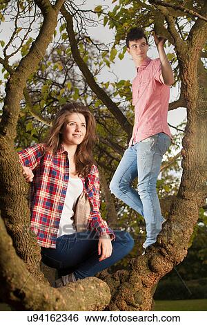 Teenage couple climbing tree in park View Large Photo Image Stock Photograph - Teenage couple climbing tree in park. Fotosearch