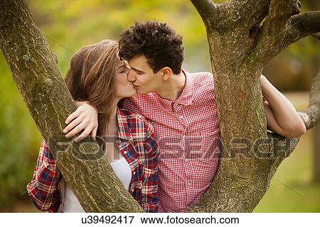 Teenage couple kissing in tree in park View Large Photo Image Stock Photo - Teenage couple kissing in tree in park. Fotosearch