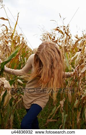 Teenage girl walking in cornfield View Large Photo Image Stock Image - Teenage girl walking in cornfield. Fotosearch