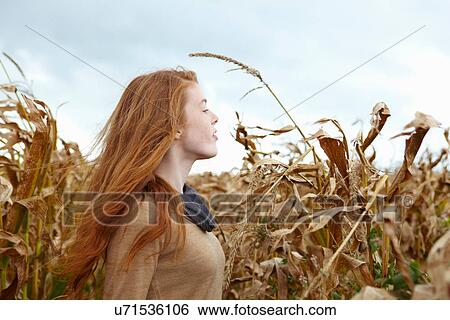 Teenage girl walking in cornfield View Large Photo Image Stock Photograph - Teenage girl walking in cornfield. Fotosearch