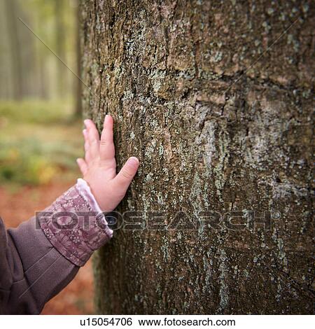 Stock Photograph - Toddler touching tree in park. Fotosearch