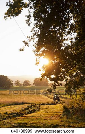 Tractor driving on dirt path View Large Photo Image Stock Photo - Tractor driving on dirt path. Fotosearch