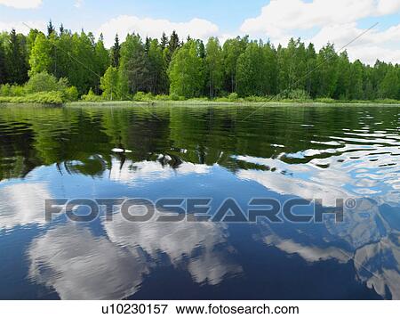 Trees reflected in still lake View Large Photo Image Stock Photo - Trees reflected in still lake. Fotosearch