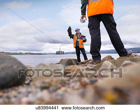 Stock Image - Two male environmentalists checking seaweed samples on seashore. Fotosearch