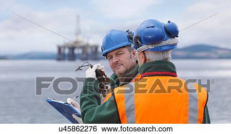 Stock Photograph - Two male environmentalists checking seaweed samples on seashore. Fotosearch