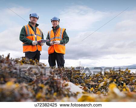 Two male environmentalists checking seaweed samples on seashore View Large Photo Image Stock Photography - Two male environmentalists checking seaweed samples on seashore. Fotosearch